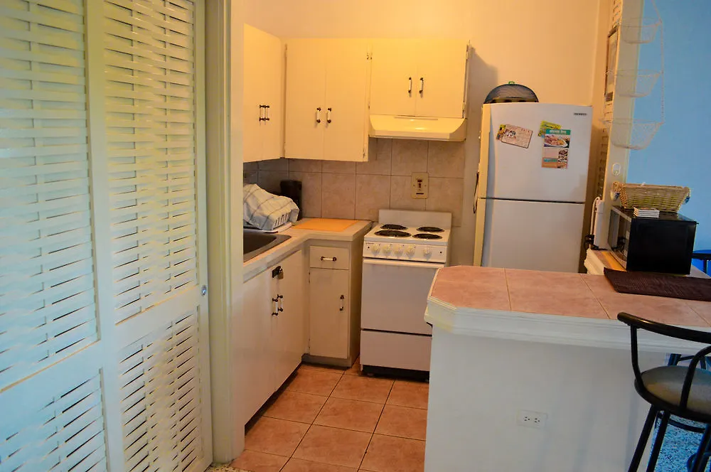 Sky Lounge Beach Studio Montego Bay Apartamento